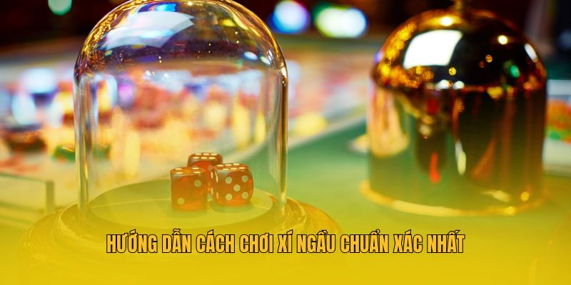 Hướng dẫn cách chơi Xí ngầu chuẩn xác nhất